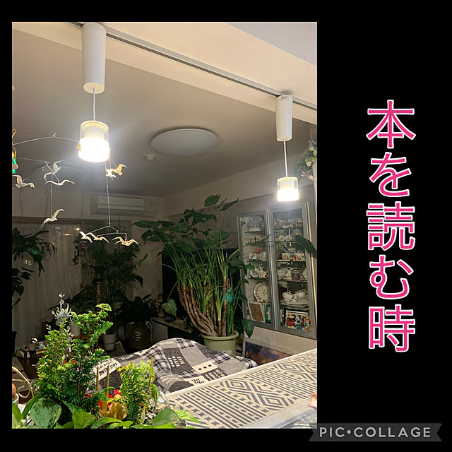Aqettyさんの部屋