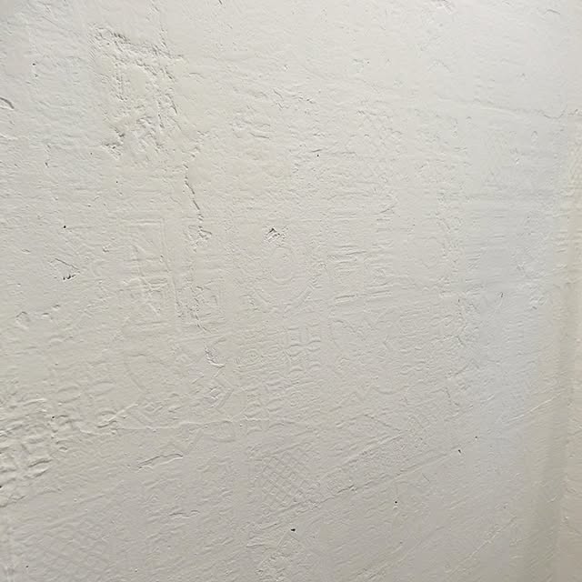 SHIROYAGIさんの実例写真