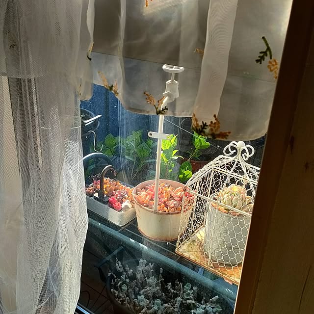 teamoさんの部屋