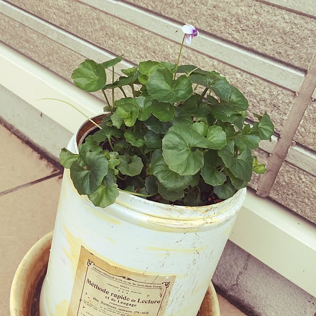 ayaさんの実例写真