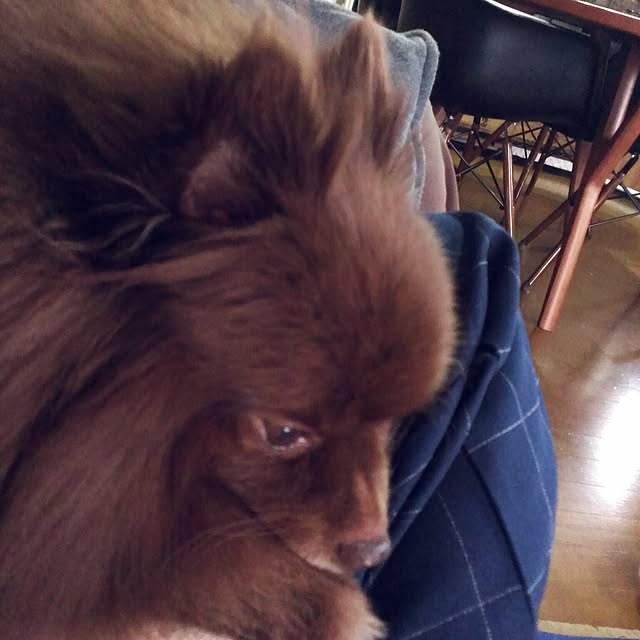 manmaru3さんの実例写真