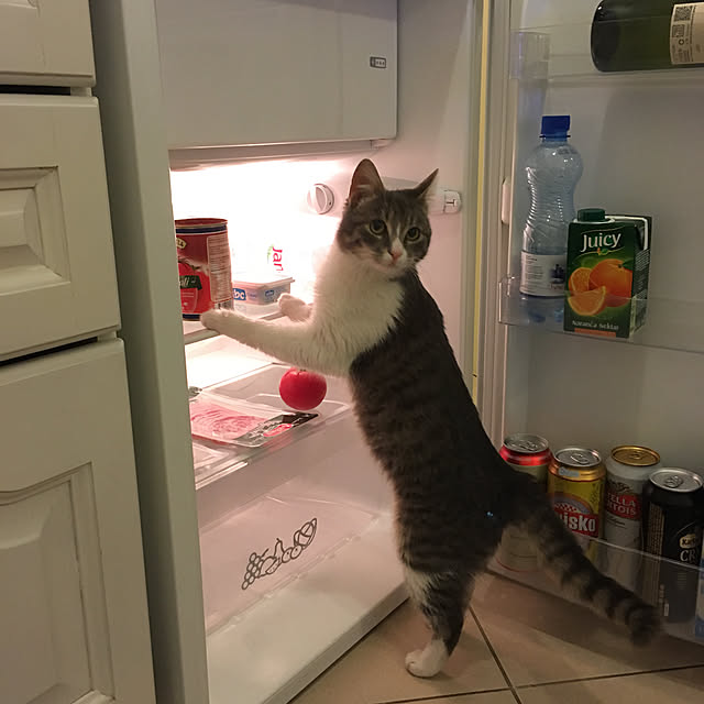 mikomaruさんの実例写真