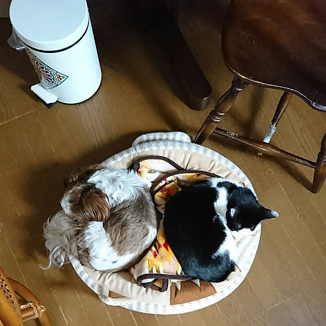 SHIHOさんの実例写真