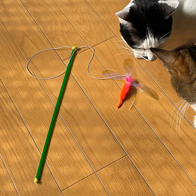 nobikoさんの実例写真