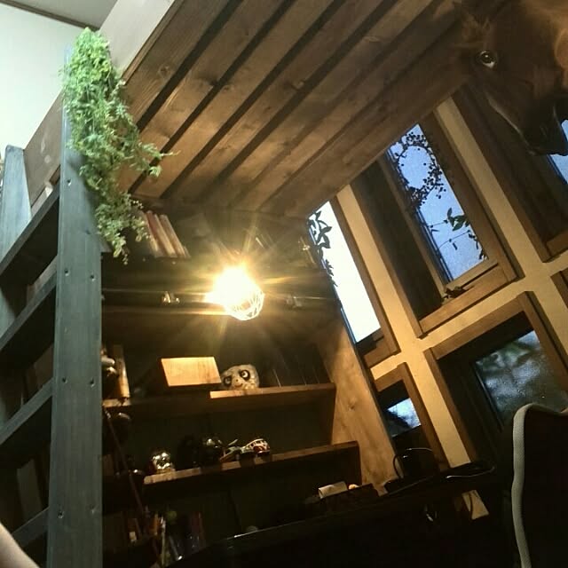 ayuさんの実例写真
