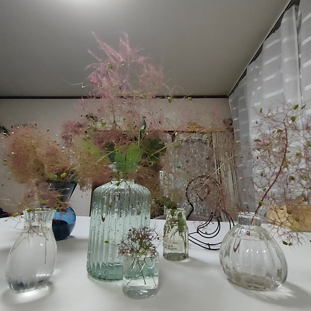 mori_6_12さんの実例写真