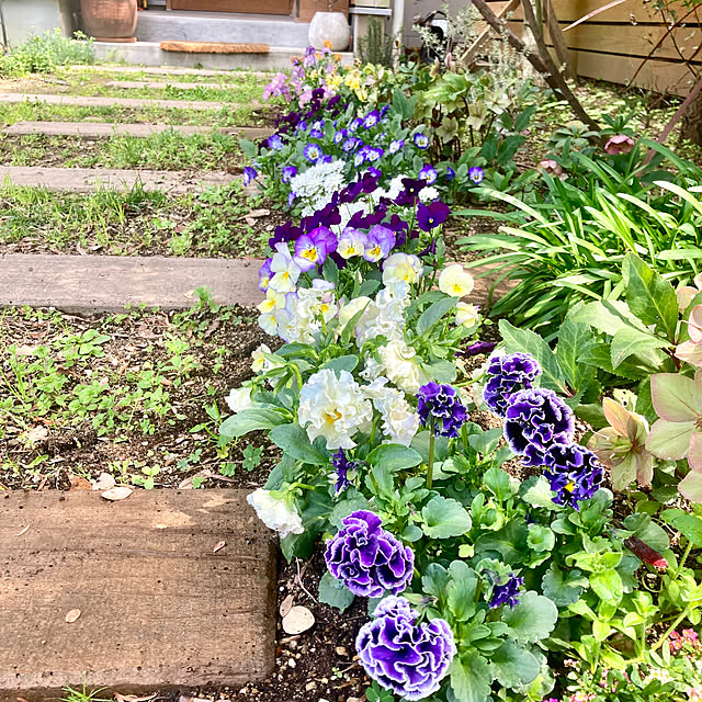 green.green.greenさんの部屋