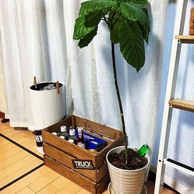 haruさんの実例写真