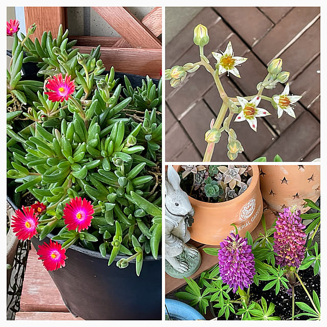 2.11maririnさんの部屋