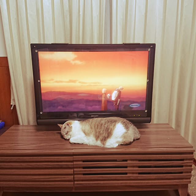 nachiさんの実例写真