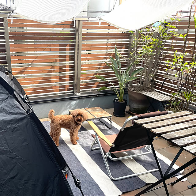 Takao316さんの実例写真