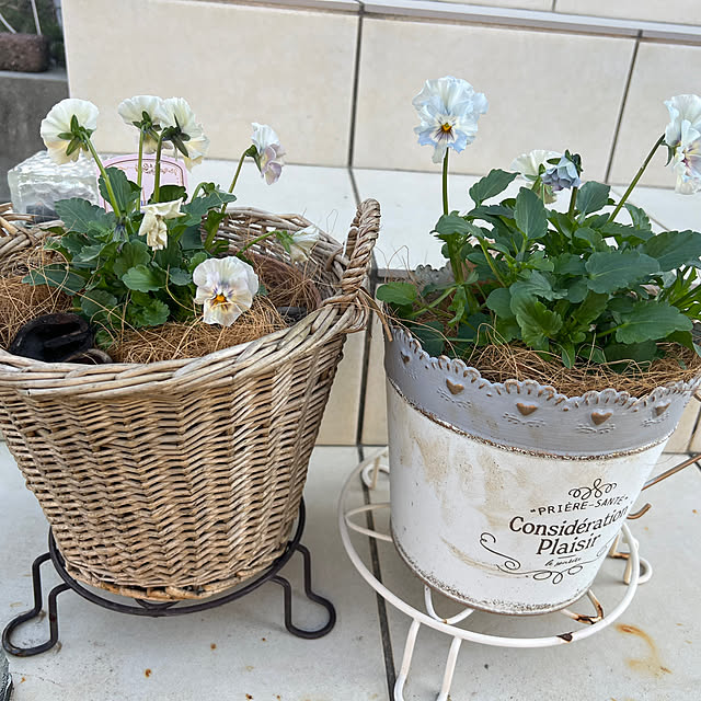 hi_riiさんの実例写真