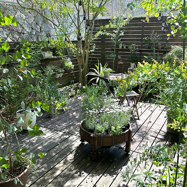 yururiさんの部屋