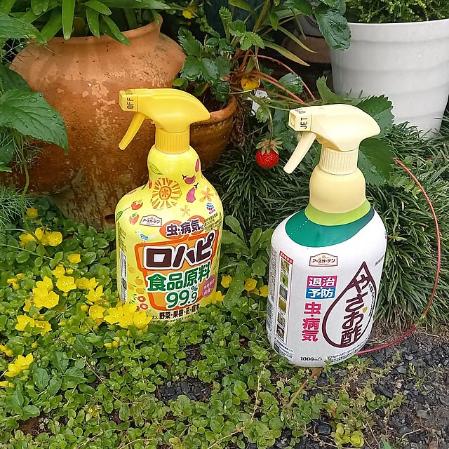 civicglさんの部屋
