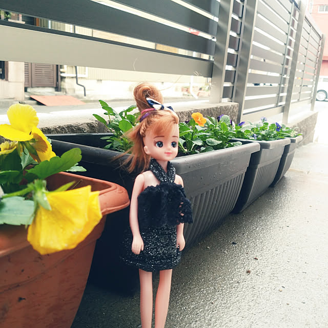kyukyuさんの実例写真