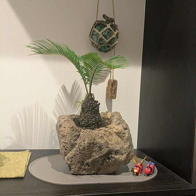 han-aさんの部屋