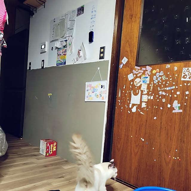 リビング/DIY/リノベーションのインテリア実例 - 2025-04-05 21:07:30