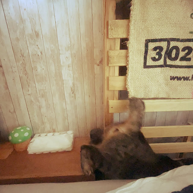 Mさんの部屋