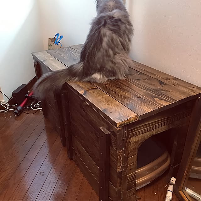 amo69xxさんの実例写真
