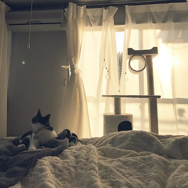 Shihoさんの実例写真