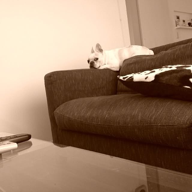 Komanechi.aさんの実例写真