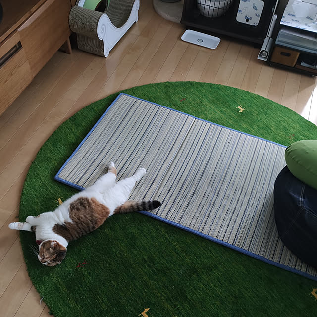 hiro3さんの実例写真