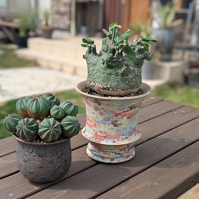 ot-gardenさんの実例写真