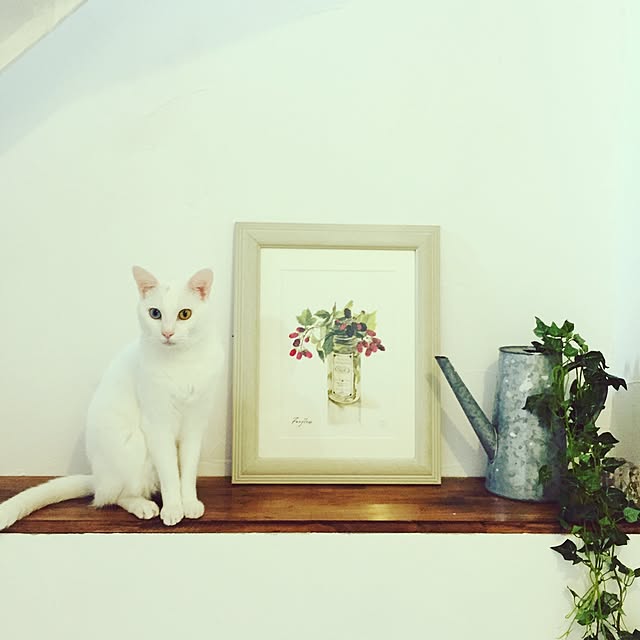 catsmamさんの実例写真