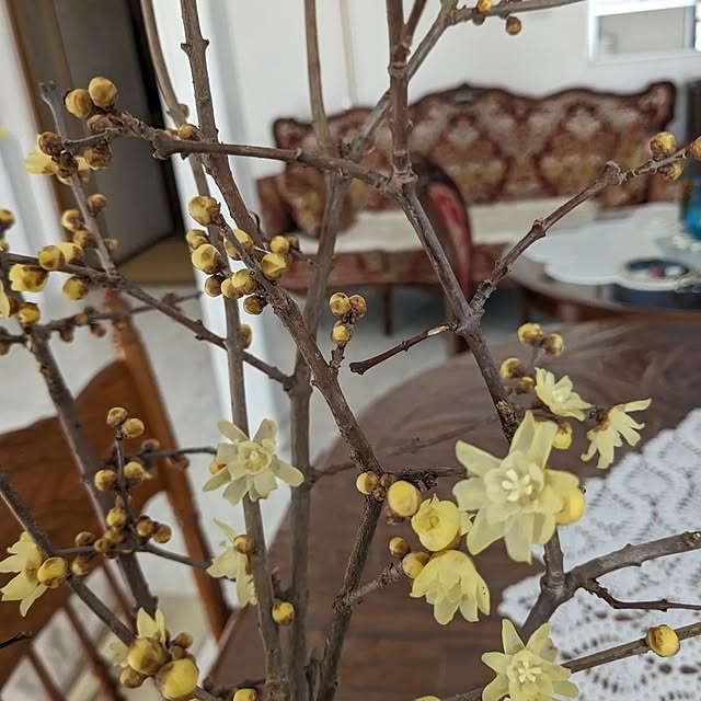 machikomamaさんの部屋