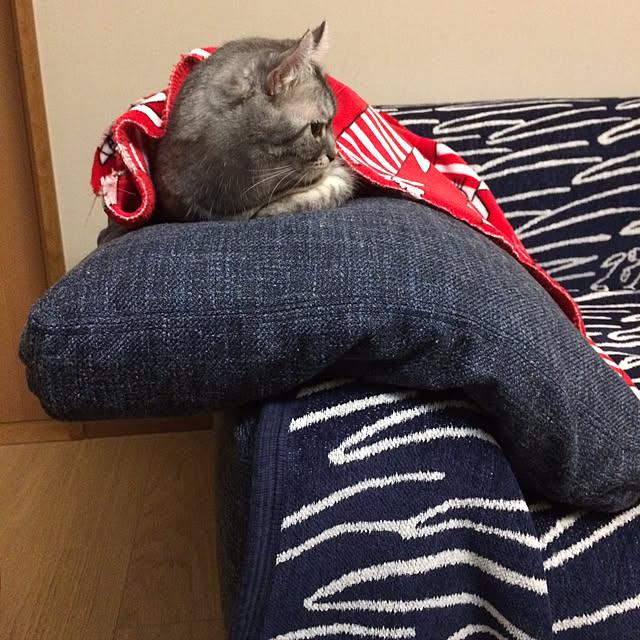 pukupunさんの実例写真