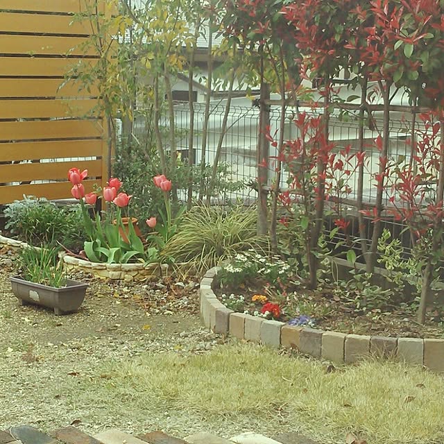 enacoさんの実例写真