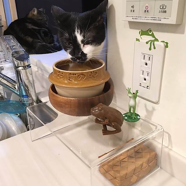 mikomaruさんの実例写真