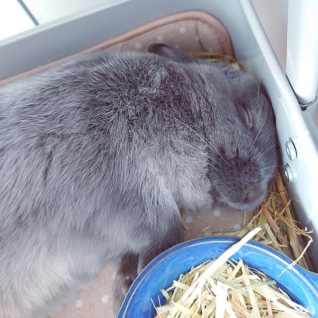 kirariさんの部屋