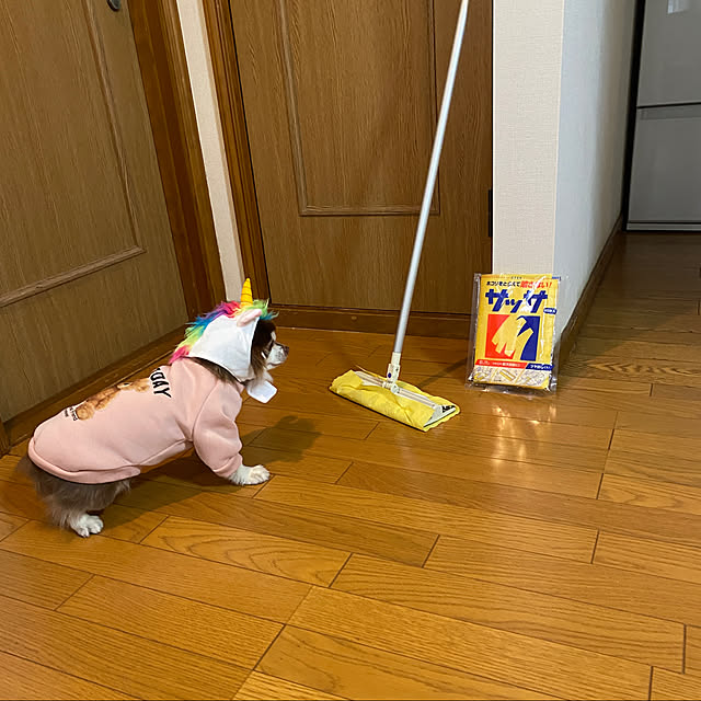 chIoeさんの実例写真