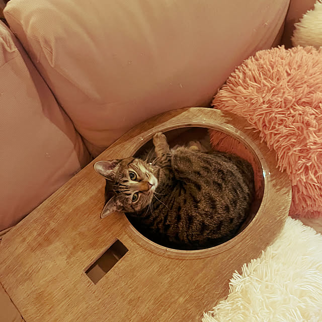 Mさんの実例写真