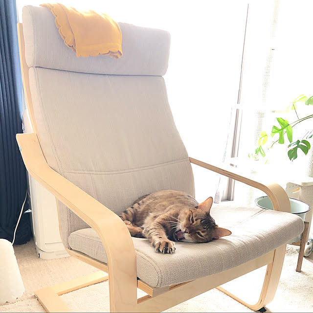 komugiさんの実例写真