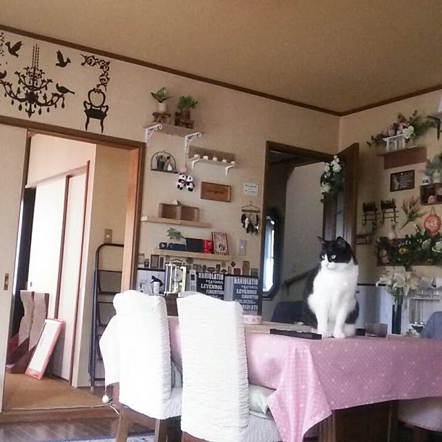 実例写真