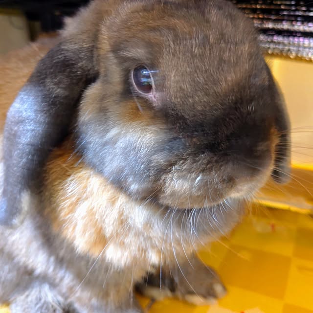 mariaさんの実例写真
