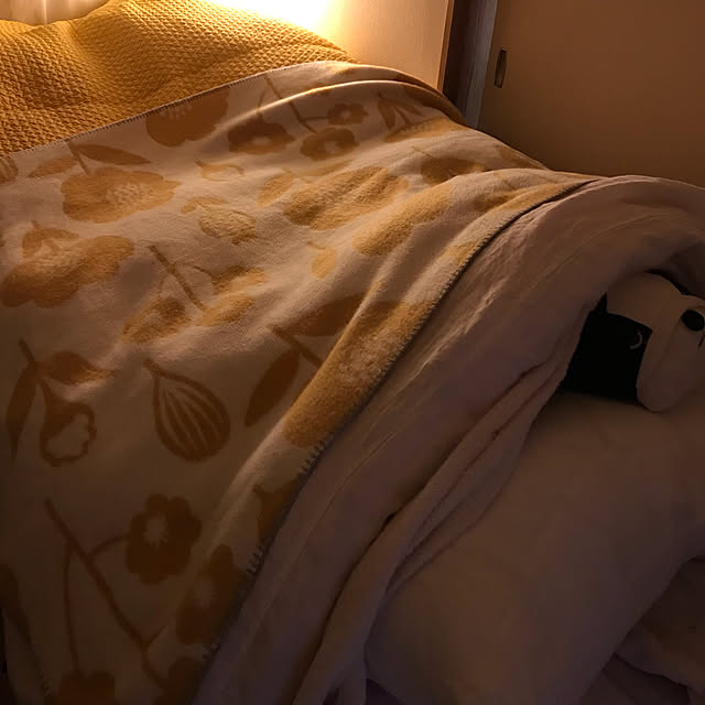 ASaMiさんの実例写真