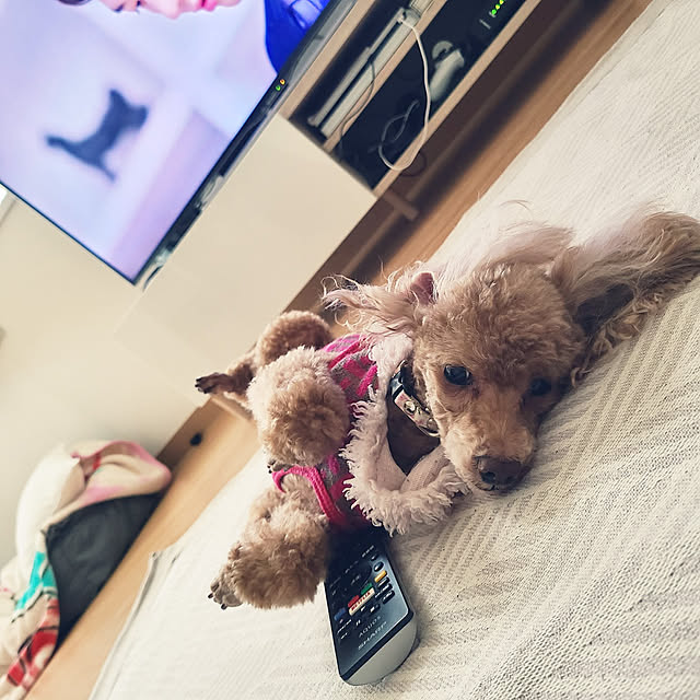 Miri.さんの実例写真