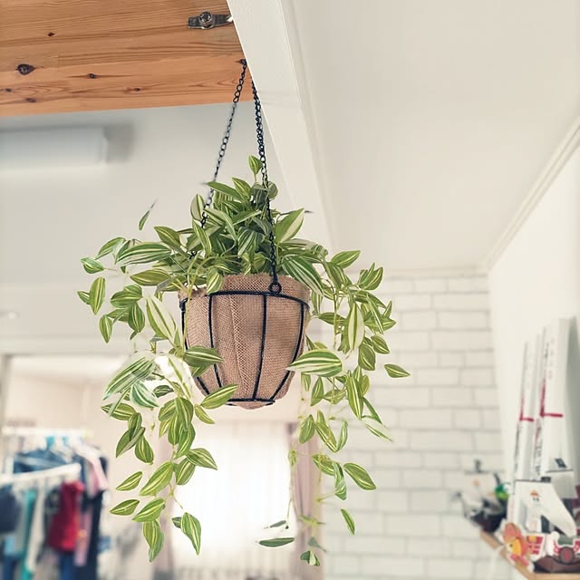 chokocreamさんの実例写真