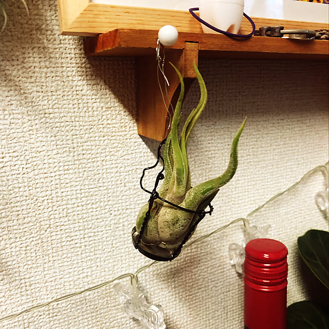 Hisaさんの実例写真