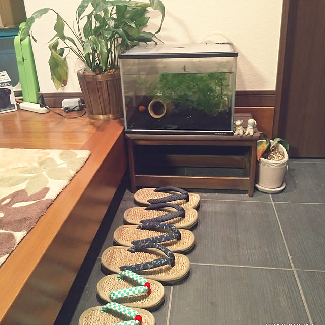 tomo5さんの実例写真