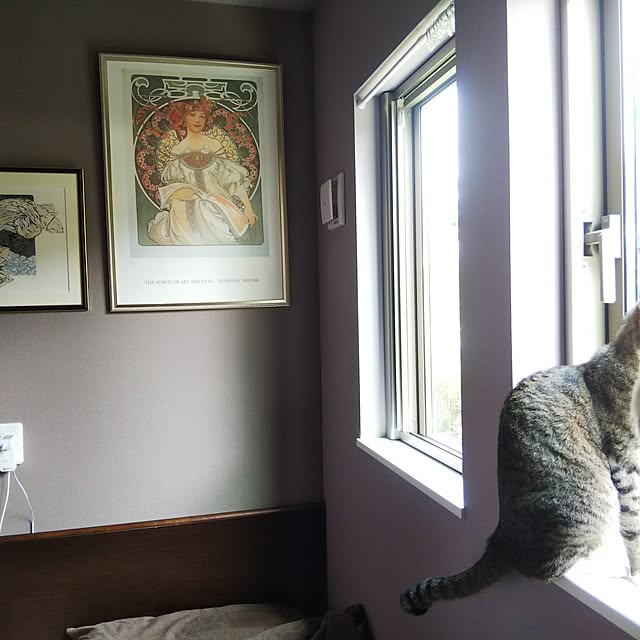 moonさんの実例写真