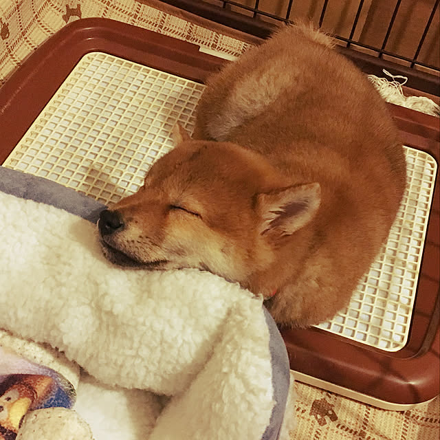 tanyuumoさんの実例写真