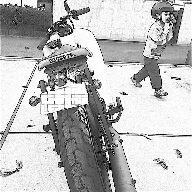 disk1mauloaさんの実例写真