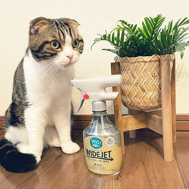 tansukeさんの実例写真