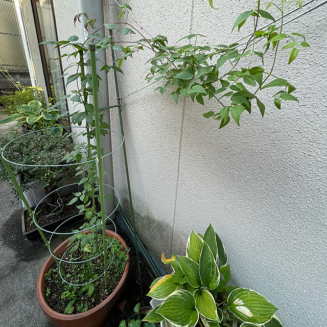 buchiさんの部屋