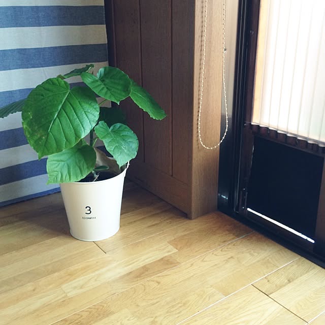 maruさんの実例写真