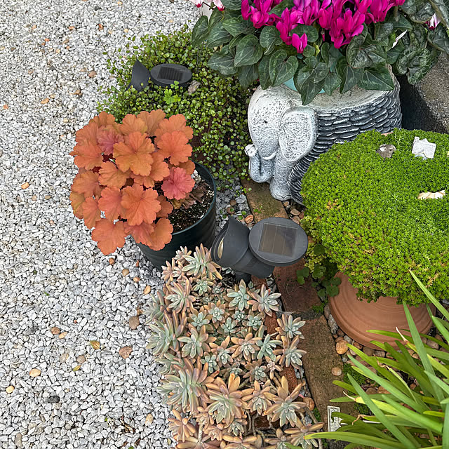 nannoさんの部屋